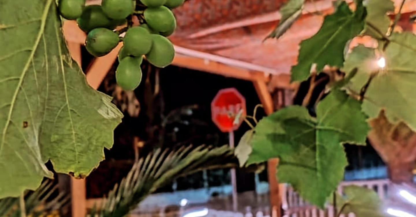 Hostel Vento Leste Bombinhas Luaran gambar